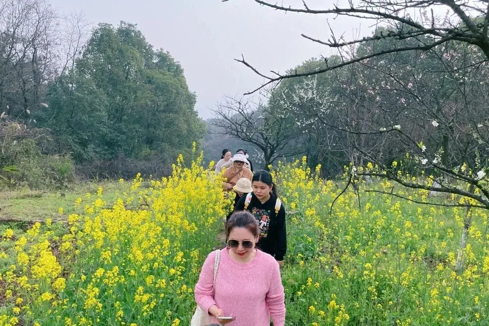 獻禮3.8節(jié)|勇做攀登者，奮進新未來