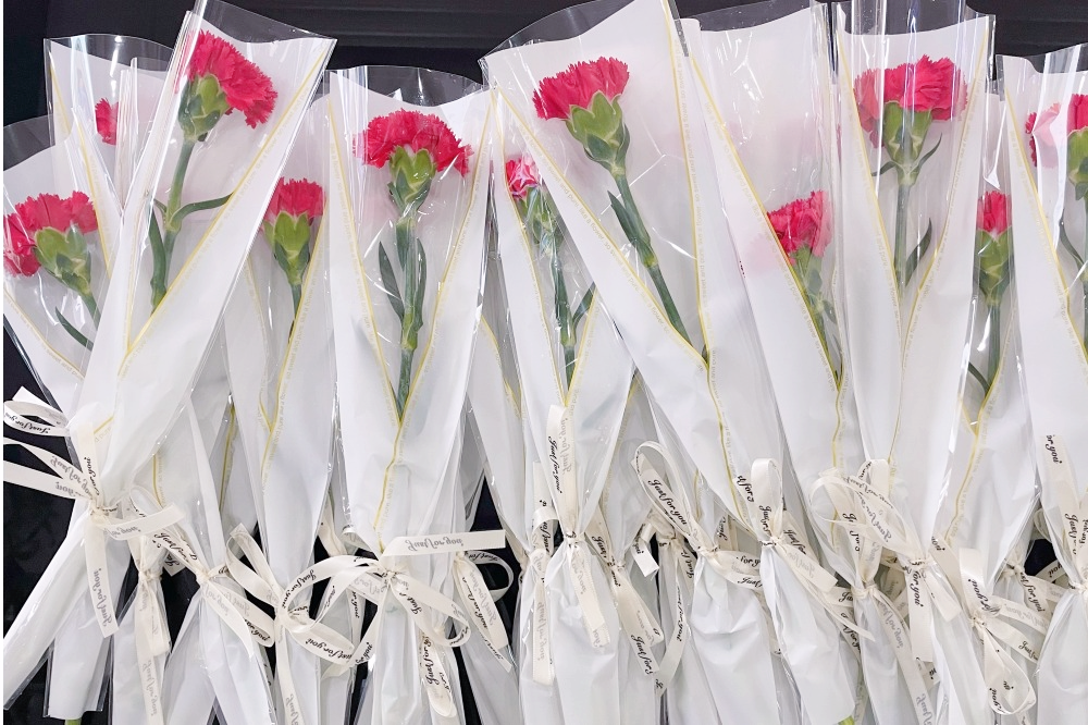 獻禮3.8節(jié)|勇做攀登者，奮進新未來