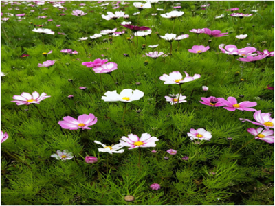 智邦集團(tuán)紅色之旅第二季華哥隊(duì)活動(dòng)報(bào)道